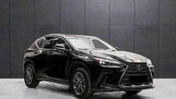 NX 450h+ Executive Edition – 2022 – Image 4